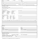 10 Accident Report Forms (Car, Work Injury, More) – TemplateArchive For Motor Vehicle Accident Report Form Template