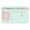 10 Best Drivers License Printable Template – Printablee