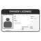 10 Best Drivers License Printable Template – Printablee