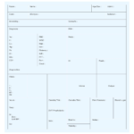 10 Best Med Surg Organization Sheet Printable – Printablee