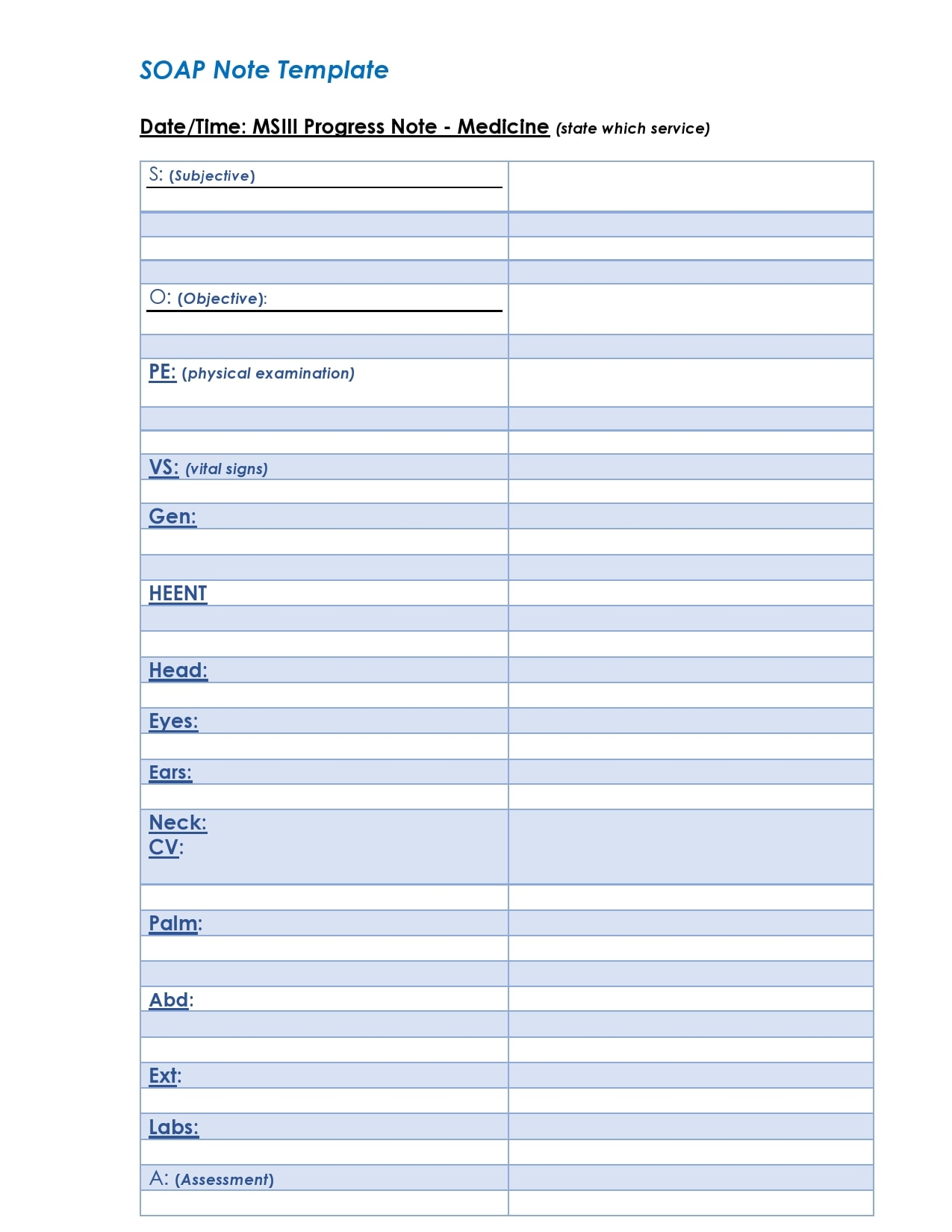 10 Blank SOAP Note Templates (+Examples) – TemplateArchive With Blank Soap Note Template