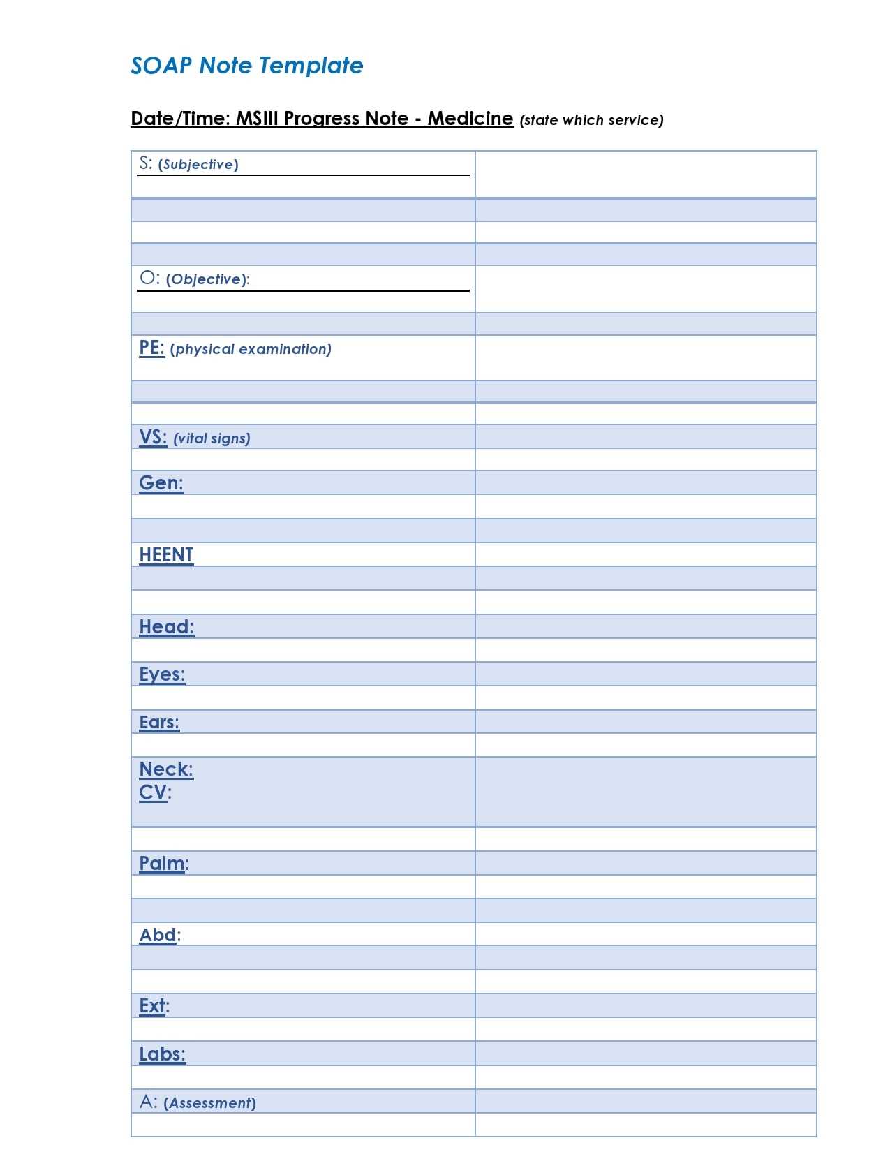 10 Blank SOAP Note Templates (+Examples) - TemplateArchive With Blank Soap Note Template