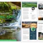 10 Business Report Templates For Professional Reports (10) For Environmental Impact Report Template