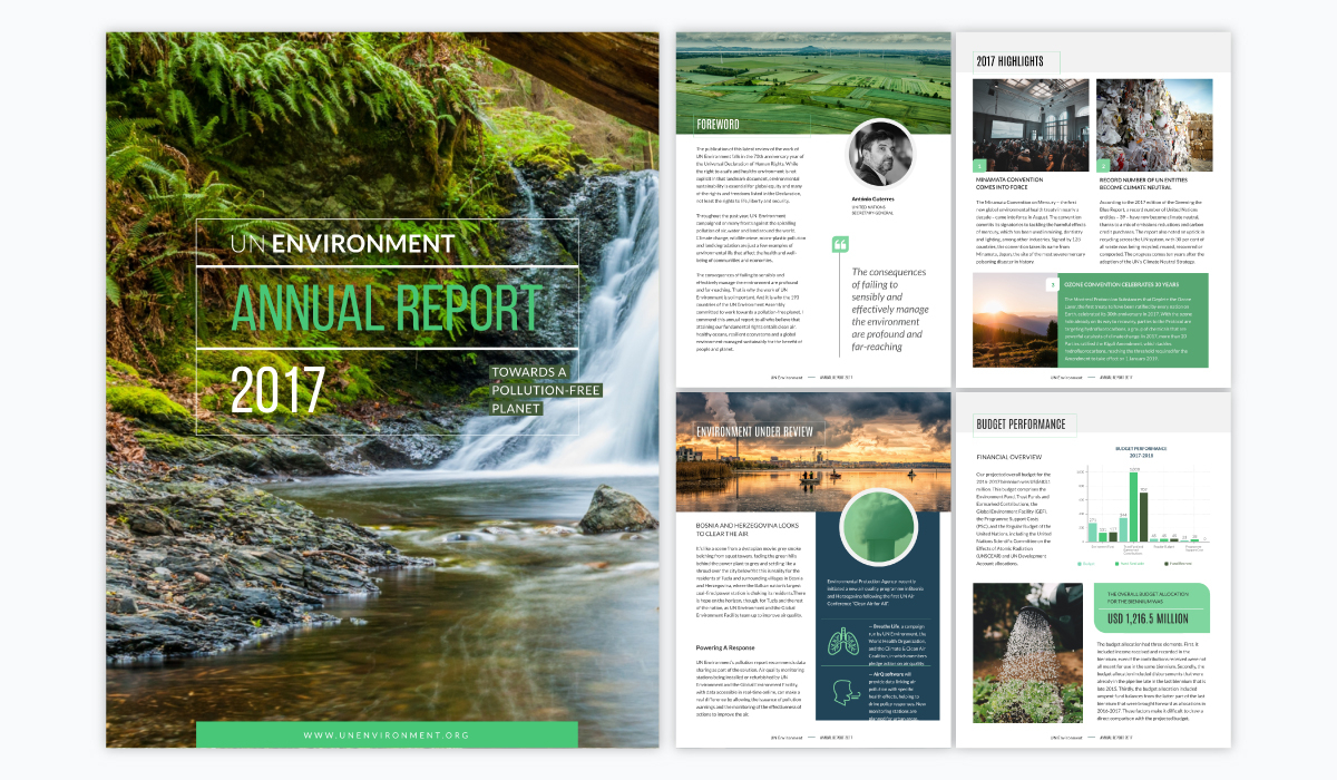 10 Business Report Templates for Professional Reports (10)