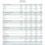 10 Free Sample Reports For Treasurers – MoneyMinder Regarding Treasurer Report Template