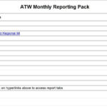 10+ Monthly Report Templates - in Excel, Word & PDF Formats