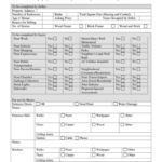 10 Printable House Inspection Checklist Forms And Templates For Home Inspection Report Template Pdf