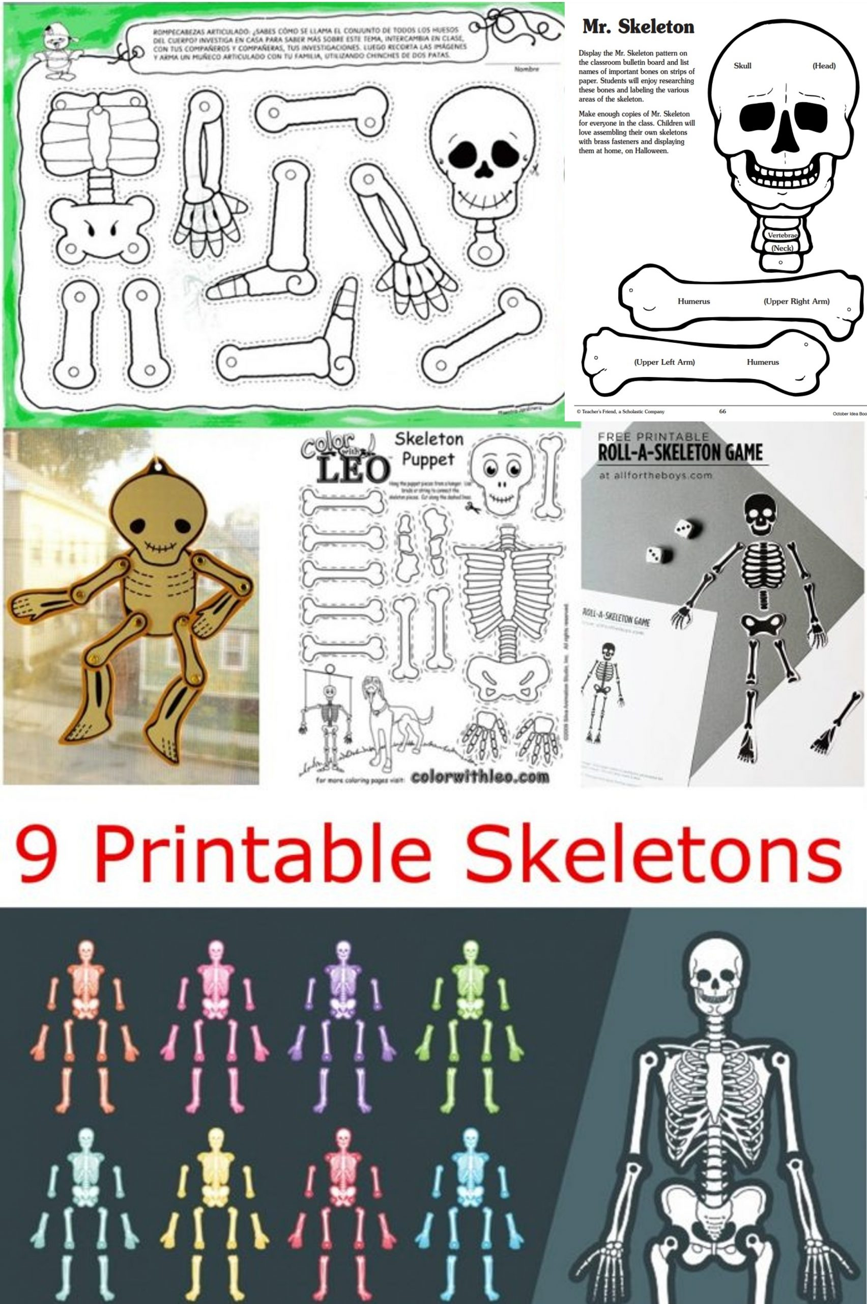 10 Printable Skeleton Crafts – Printables 10 Mom For Skeleton Book Report Template