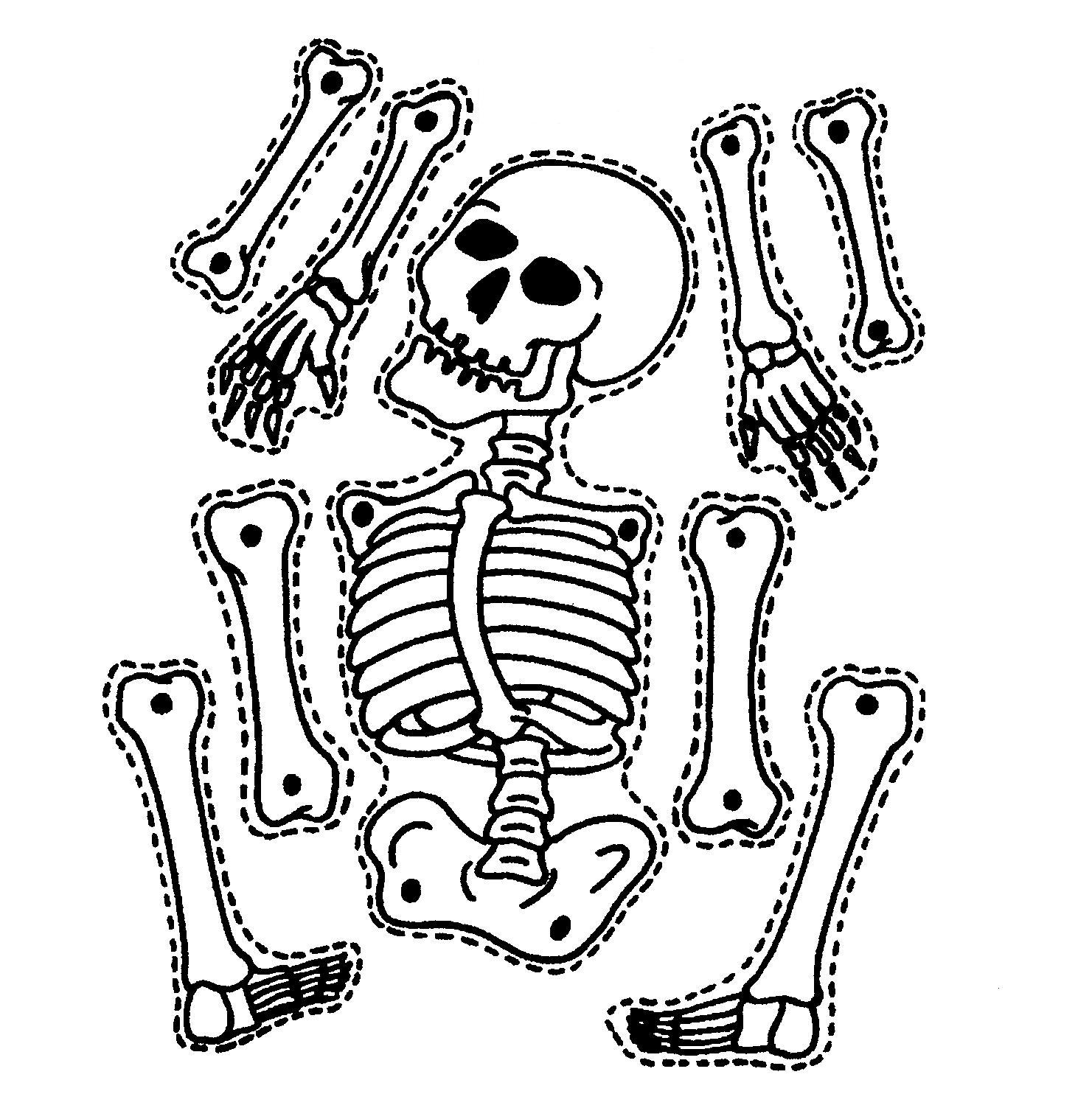 10 Printable Skeleton Crafts - Printables 10 Mom Throughout Skeleton Book Report Template