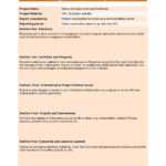 10 Professional Progress Report Templates (Free) – TemplateArchive With How To Write A Work Report Template