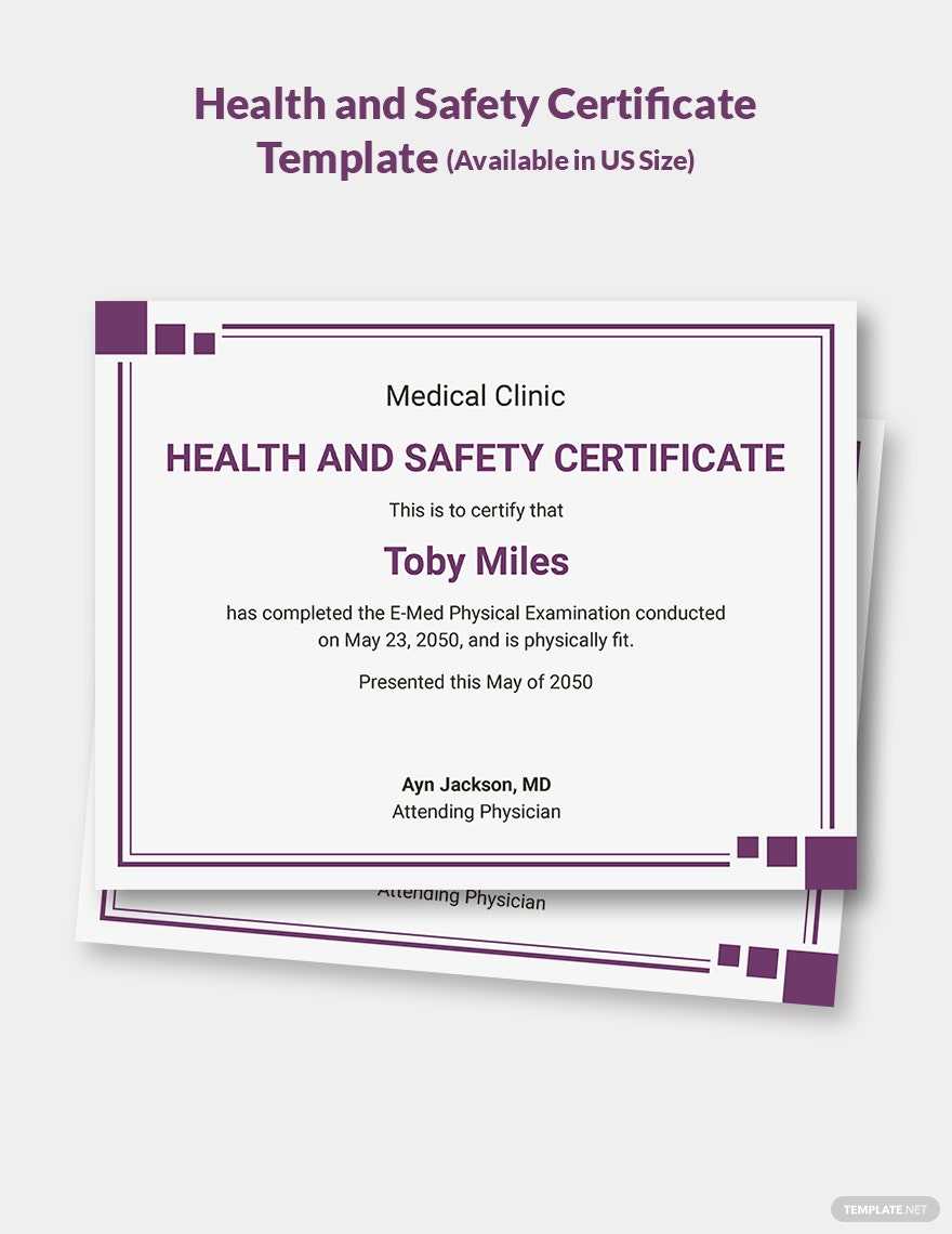 10+ Safety Certificate Templates – Free Downloads  Template