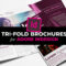 10+ Top Tri Fold Brochure Templates For InDesign – DesignerCandies With Brochure Templates Free Download Indesign