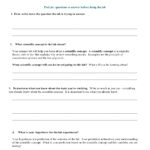 10 Useful Lab Report Examples (& Free Templates) Regarding Science Lab Report Template
