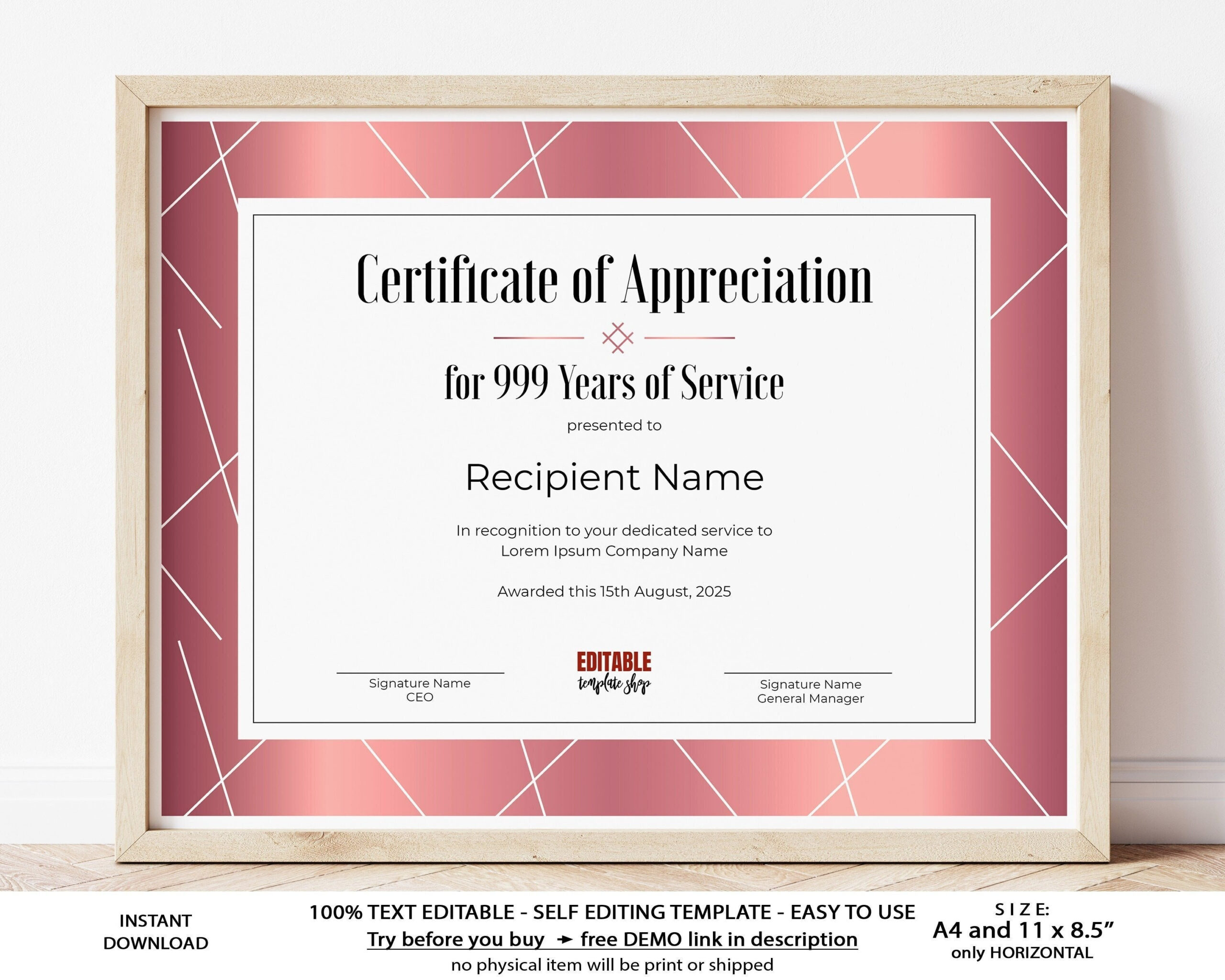 10 Years of Service EDITABLE Certificate of Appreciation - Etsy