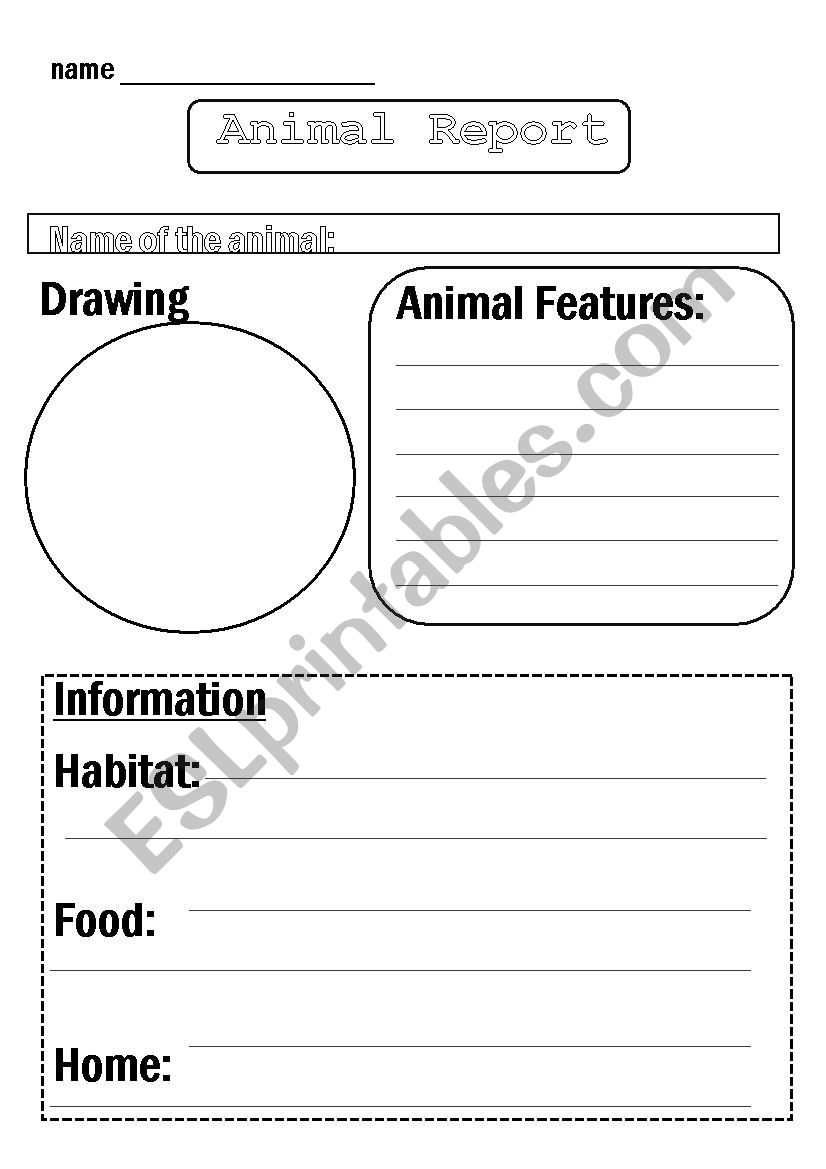 Animal Report Template - ESL worksheet by Flora
