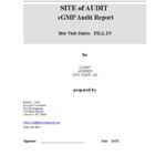 Audit Report With GMP Questionnaire (Template) PDF Quality In Gmp Audit Report Template