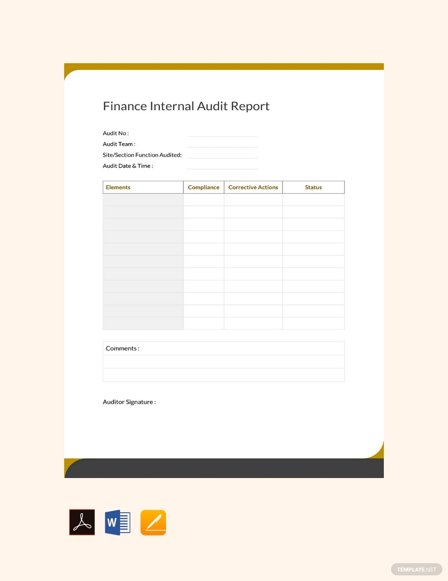 Audit Reports Templates – Format, Free, Download  Template