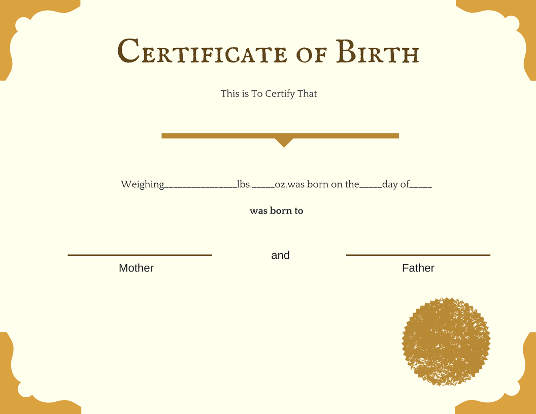 Birth Certificate Blank Template – Imgflip Within Birth Certificate Fake Template