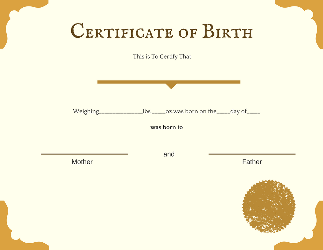 Birth certificate Blank Template - Imgflip Within Birth Certificate Fake Template