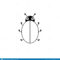 Blank Ladybird Outline Icon Stock Illustration – Illustration Of  Inside Blank Ladybug Template
