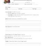 Book Report – Third Graders Worksheet Within Book Report Template 3Rd Grade