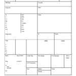Brain Nursing Report Sheet PDF Within Nurse Report Sheet Templates