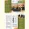 Brochures Templates Publisher – Design, Free, Download  Template