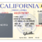 California Drivers License by TylerAllen10 on DeviantArt