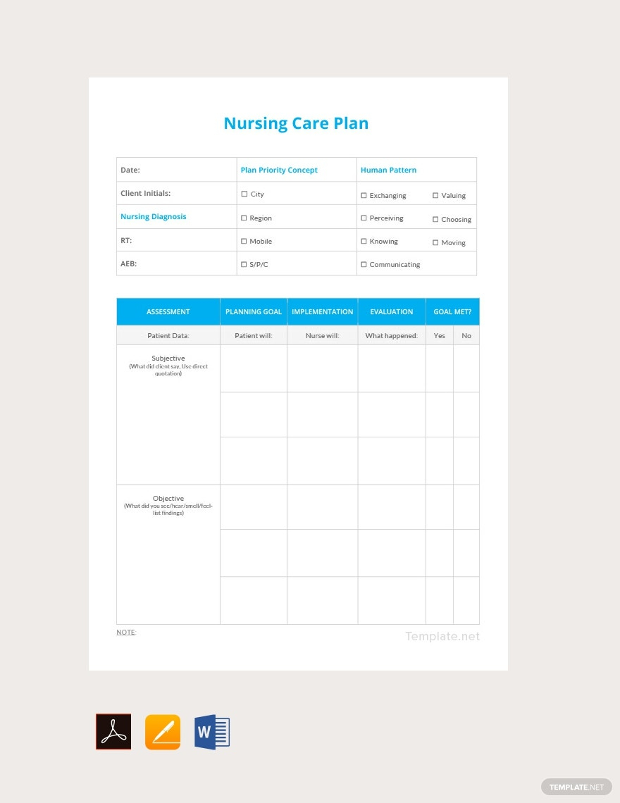 Care Plans Templates – Format, Free, Download  Template