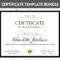 Certificate Of Achievement Template Editable Certificate Of – Etsy