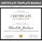 Certificate Of Completion Template BUNDLE Editable – Etsy With Certification Of Completion Template