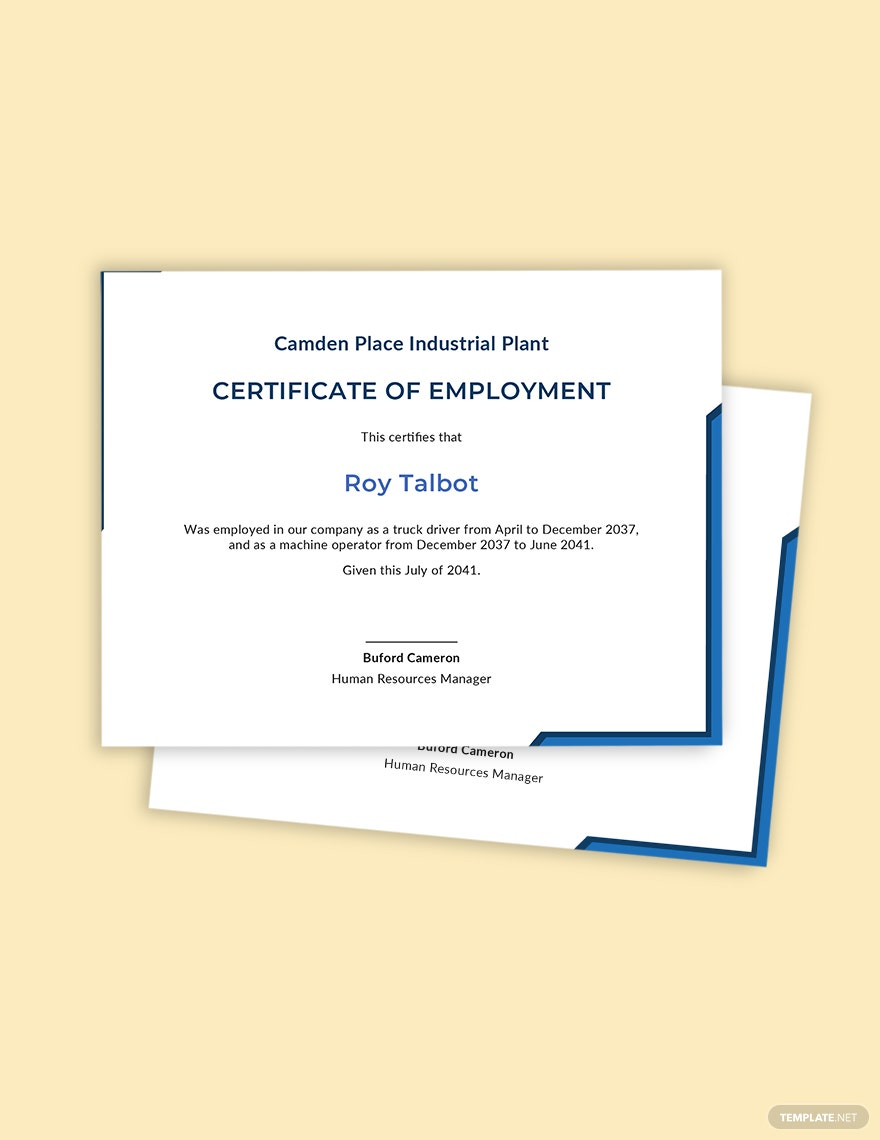 Certificate of Employment Template - Illustrator, InDesign, Word  With Certificate Of Employment Template