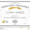 Certificate Of Excellence Template With Gold Award Ribbon On Abs  With Regard To Award Of Excellence Certificate Template