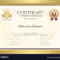 Certificate Template In Tennis Sport Theme Vector Image In Tennis Gift Certificate Template
