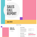 Color Block Sales Call Report Template For Sales Call Report Template