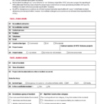 免费Construction Incident Report Form  样本文件在  Within Construction Accident Report Template