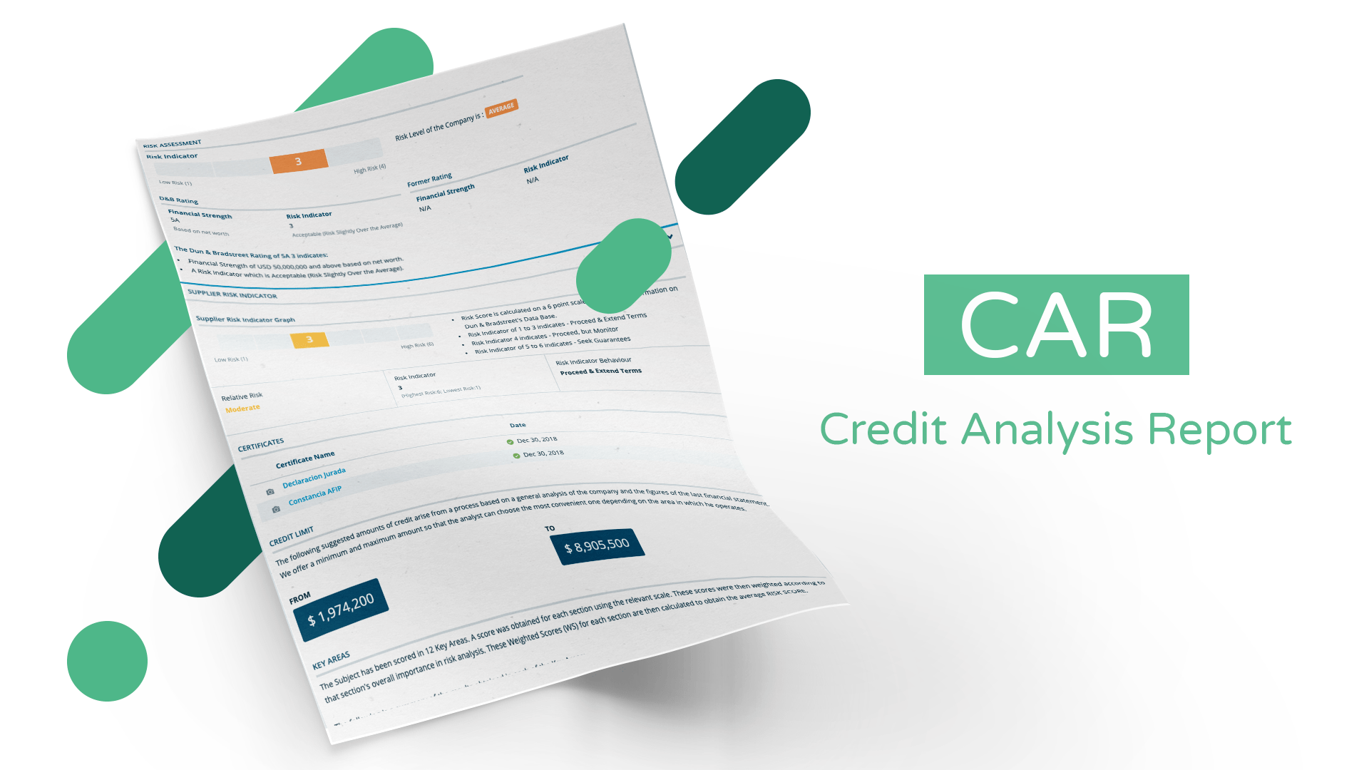 Credit Analysis Report  CIAL Dun & Bradstreet With Credit Analysis Report Template