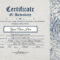 Custom Certificate Of Authenticity Template Diy Editable – Etsy