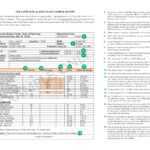 Deciphering Your Lab Report – Testing