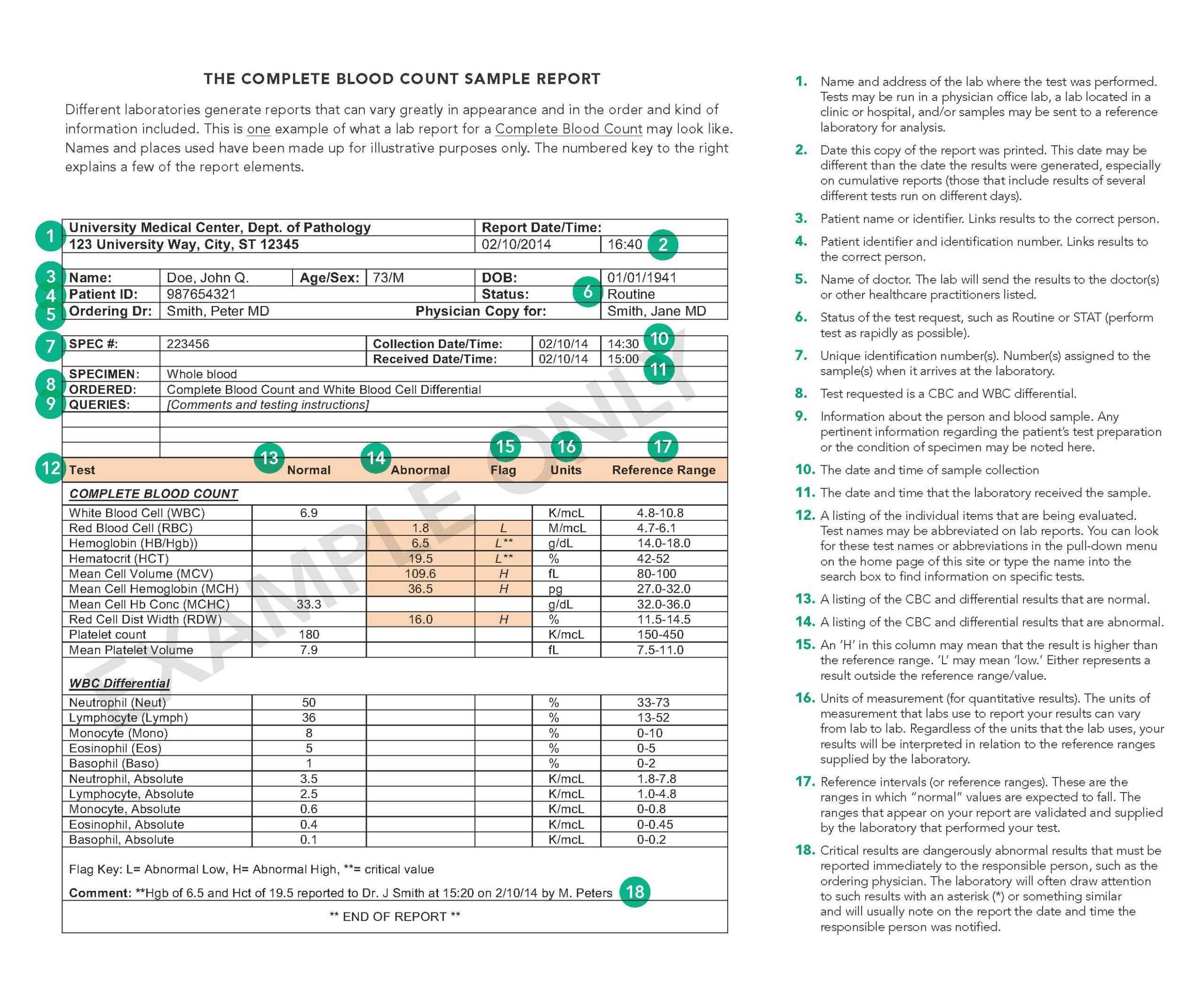 Deciphering Your Lab Report - Testing