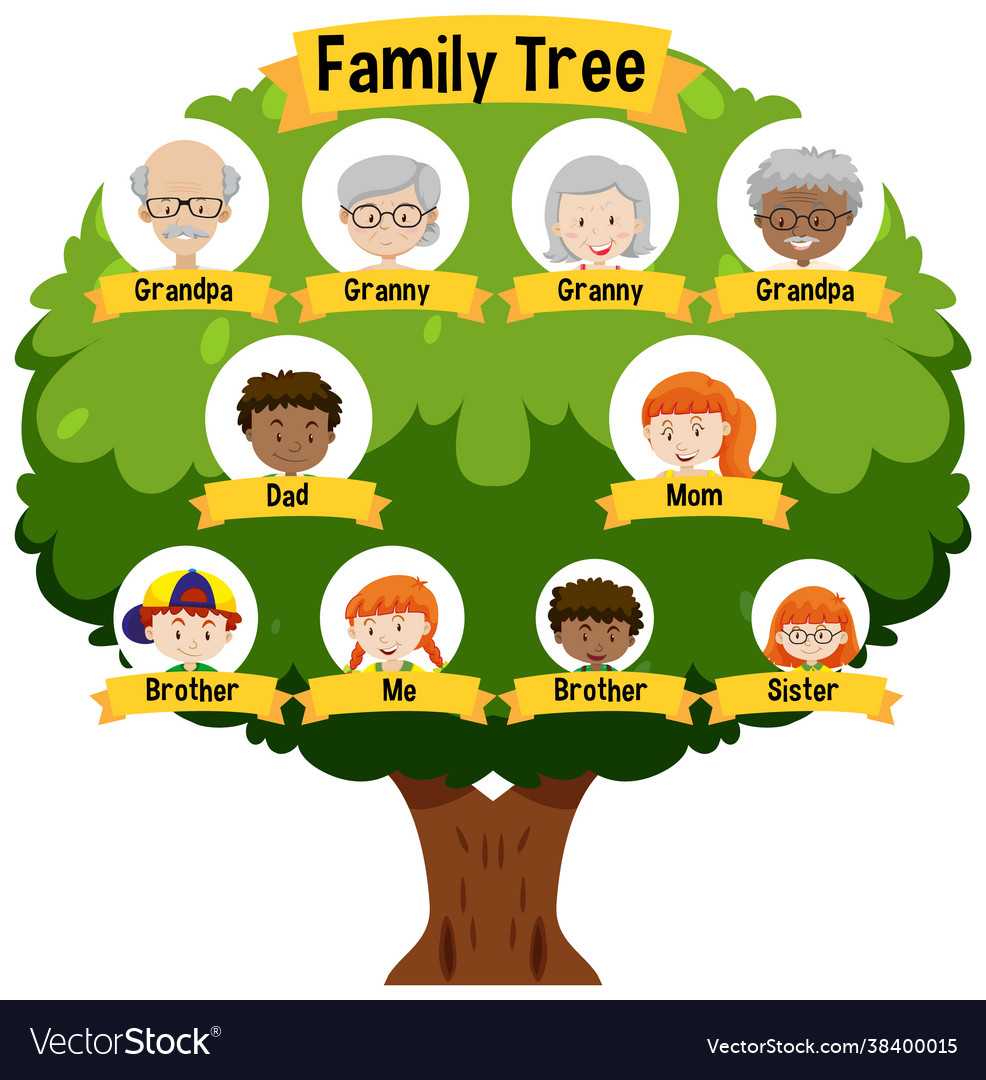 Diagram Showing Three Generation Family Tree Vector Image In Blank Family Tree Template 3 Generations