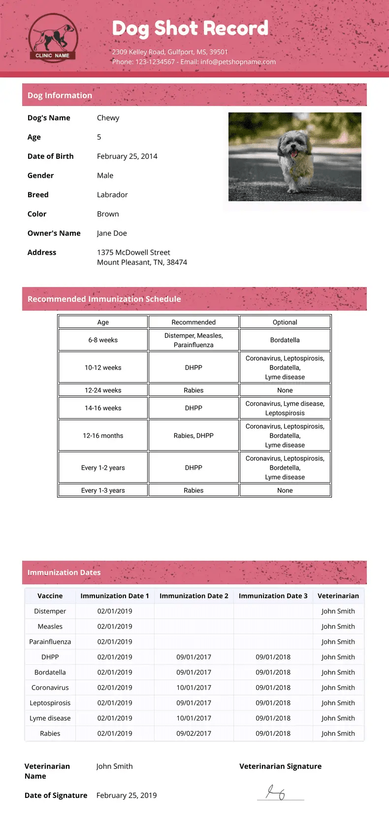 Dog Shot Record Template - PDF Templates  Jotform With Regard To Dog Vaccination Certificate Template