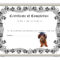 Dog Training Certificates – Etsy Within Service Dog Certificate Template