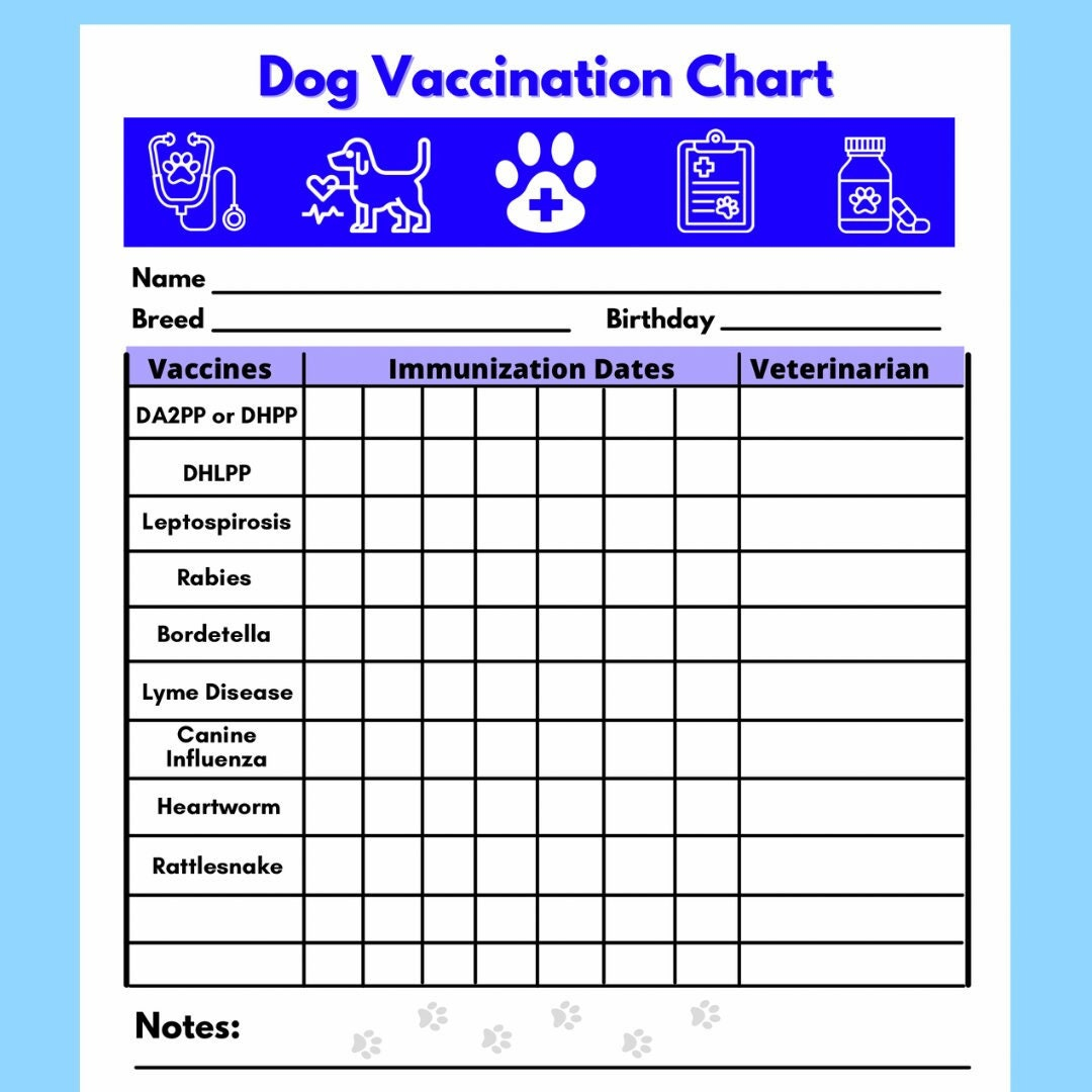 Dog Vaccine Printable, Pet Printable, Immunization, Puppy Vaccinations, Dog  Health – Digital Download, Instant Download, PDF For Dog Vaccination Certificate Template