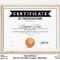 EDITABLE Basketball Certificate Template Printable Sports – Etsy