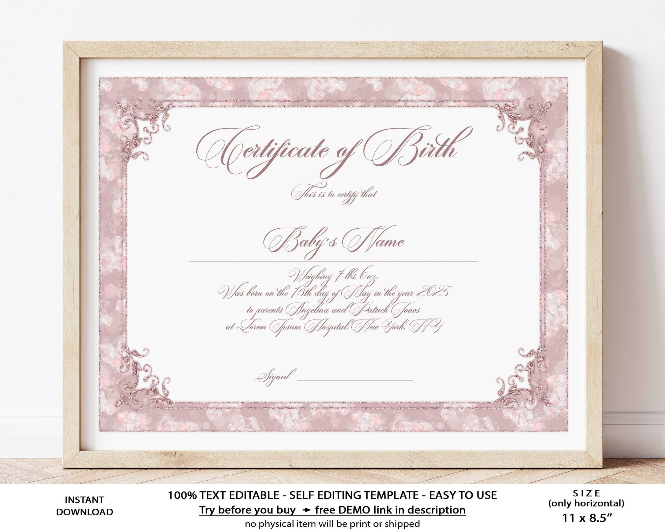 Editable Birth Certificate Template Printable Baby Girl Gift – Etsy  Inside Girl Birth Certificate Template