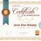 EDITABLE Certificate Of Appreciation Template Certificate Of – Etsy
