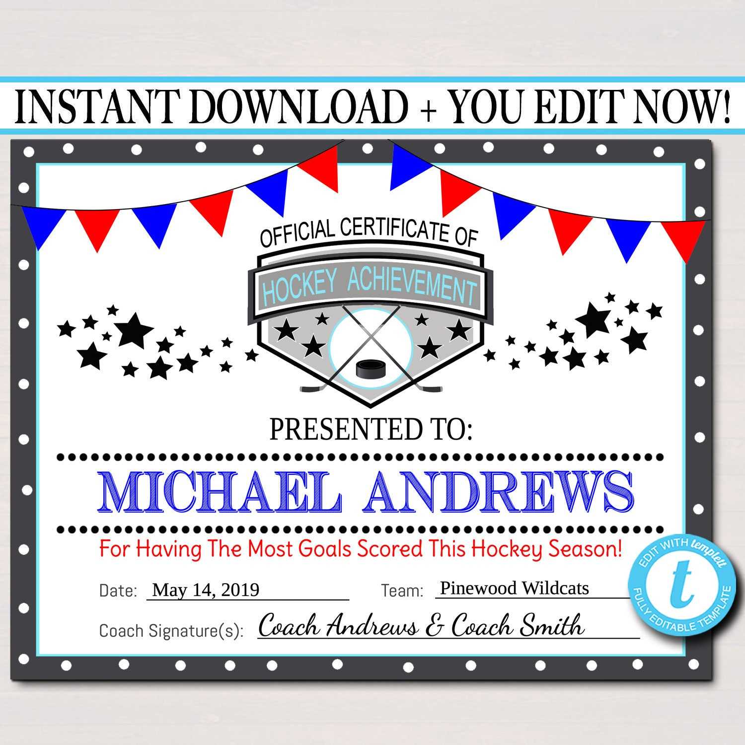 EDITABLE Hockey Award Certificates INSTANT DOWNLOAD Team  Regarding Hockey Certificate Templates