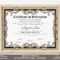 Editable Ordained Minister Certificate Template Elegant – Etsy