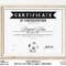 EDITABLE Soccer Football Certificate Template Sports – Etsy Schweiz Regarding Soccer Certificate Template